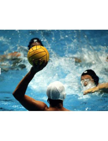 FILET Water-polo DR900 (md)